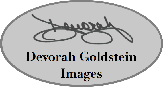 Devorah Goldstein Images