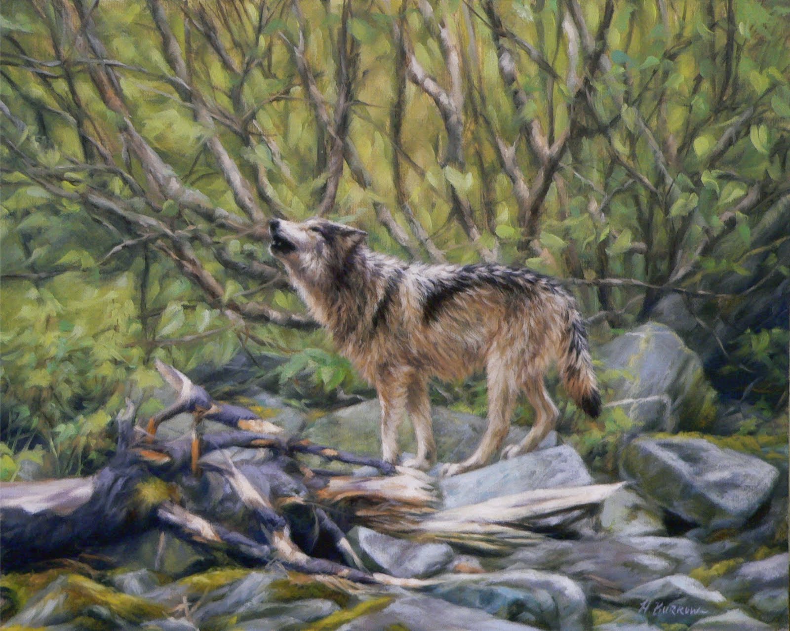 Heléne Burrow: NEWA- National Exhibition of Wildlife Art