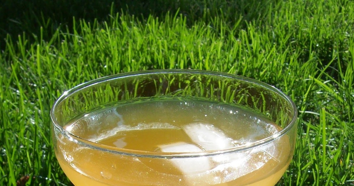 Ginger Mango Cocktail The Nutritionist Reviews