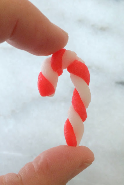 Make your own Candy Canes DIY | www.jacolynmurphy.com