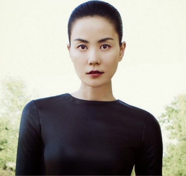 Faye Wong HD Wallpaper - all 4u stars wallpaper