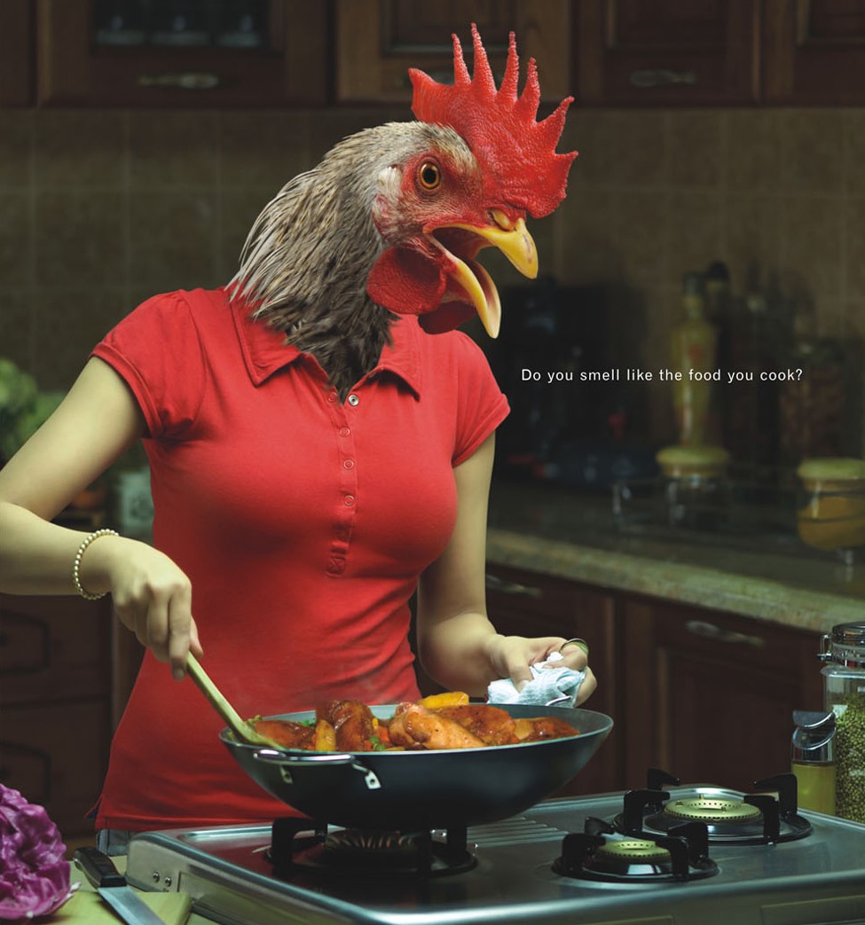 Chef and Househusband *Just Pure Poultry*