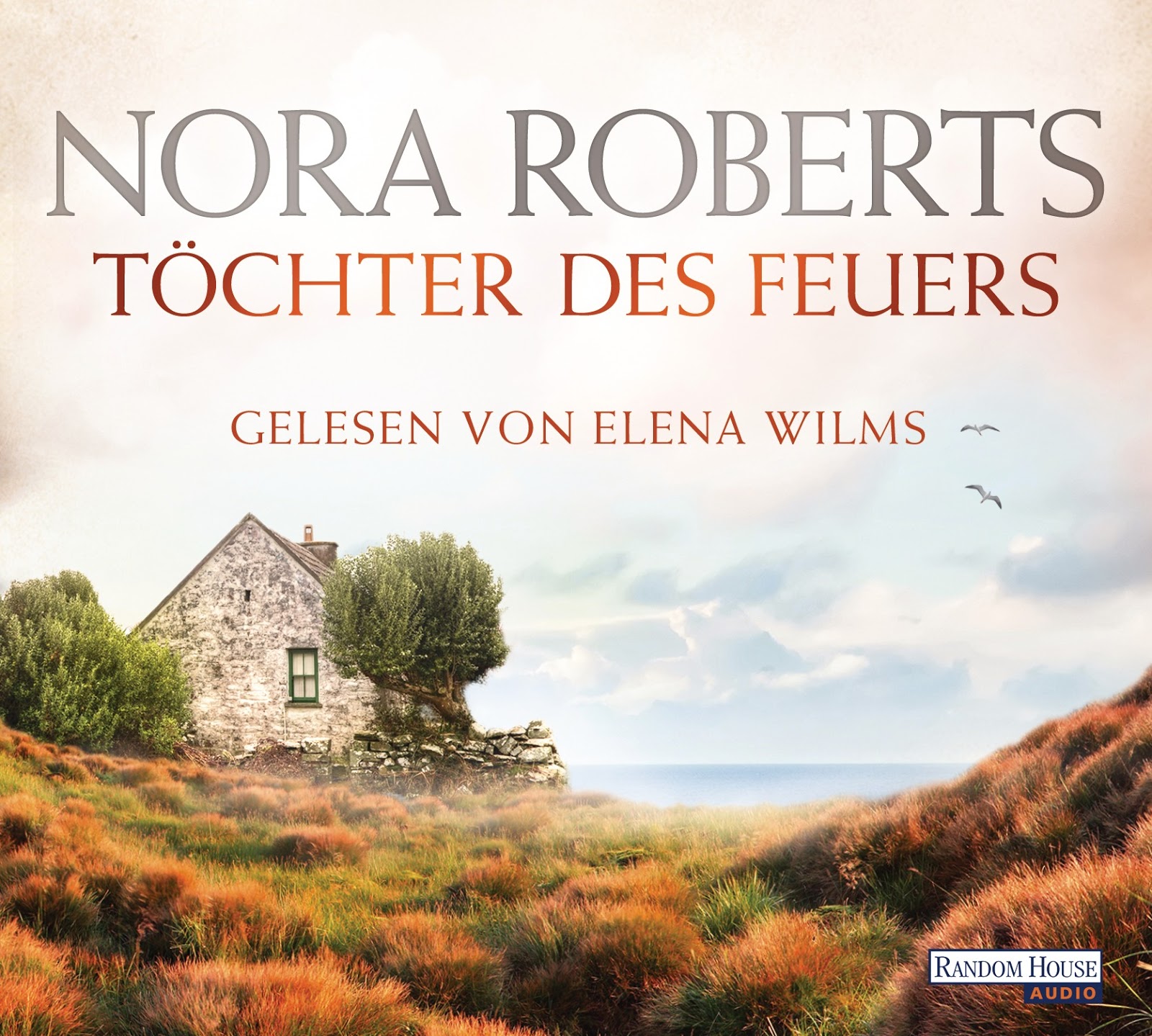 Buchsichten November 2017