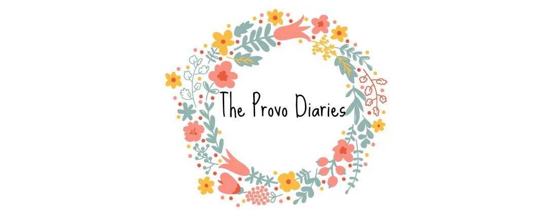 The Provo Diaries