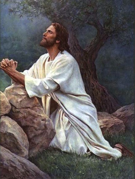 Thy Will Be Done Jesus Prayer In Gethsemane Stepping Stones