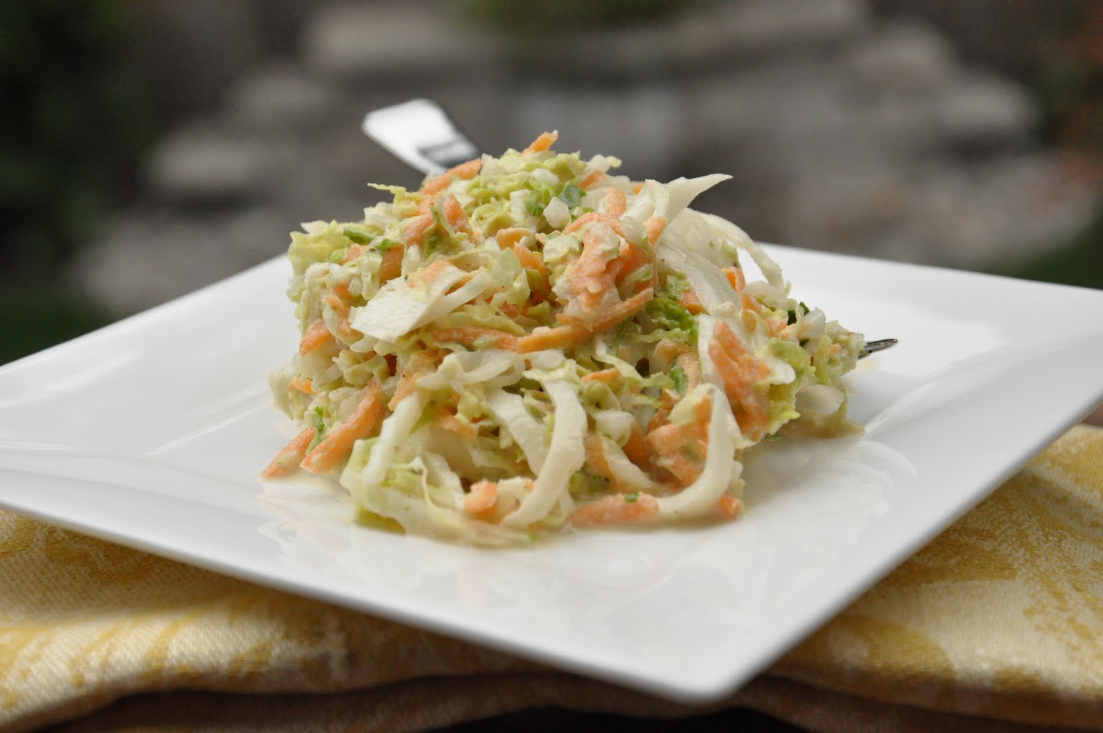 FOOD Napa Cabbage Coleslaw from my Roots and Shoots Farm CSA Basket