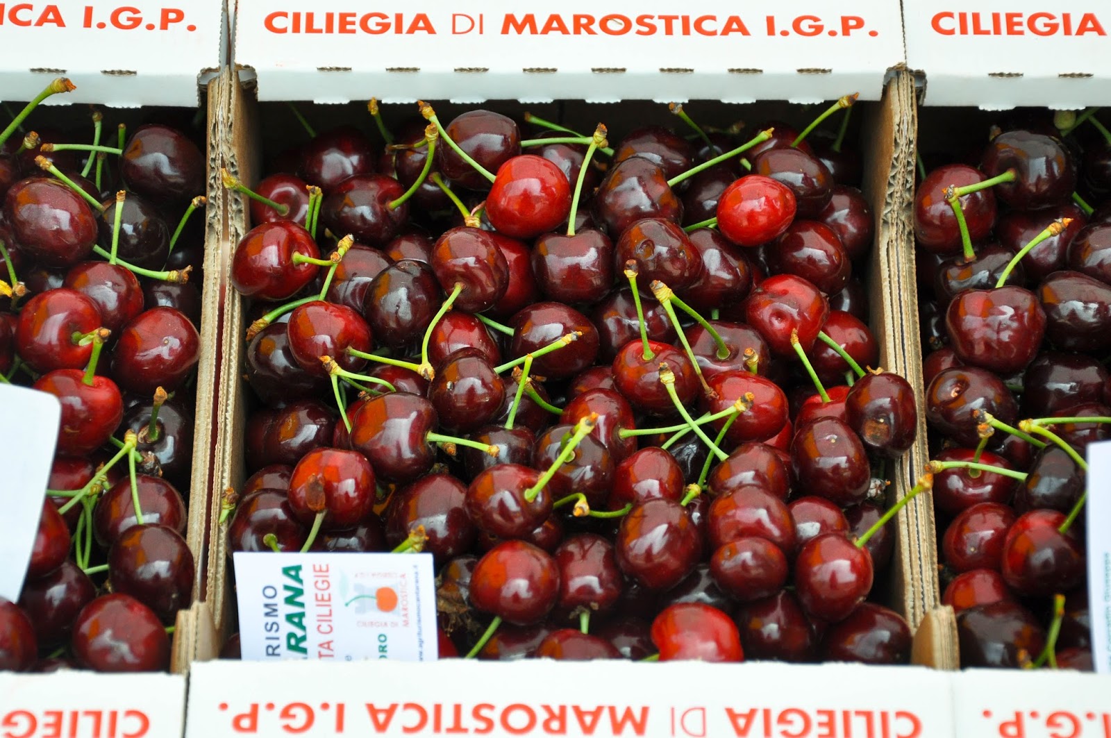 Cherries from Marostica at the Cherry Show Market in Marostica, Veneto, Italy