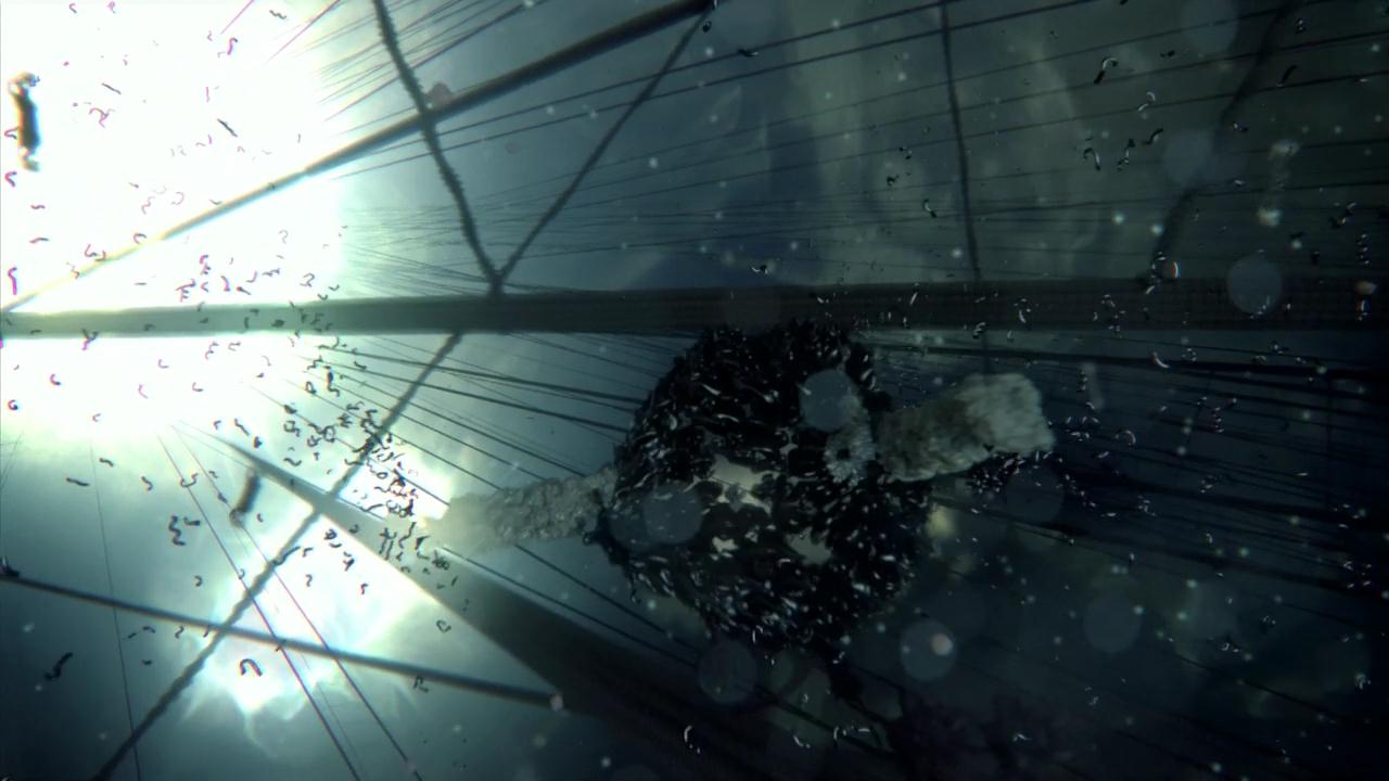 Our Secret Universe The Hidden Life Of A Cell