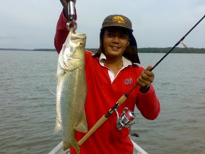 Galeri Ikan