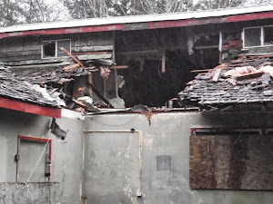 Fire Bombing in Tofino