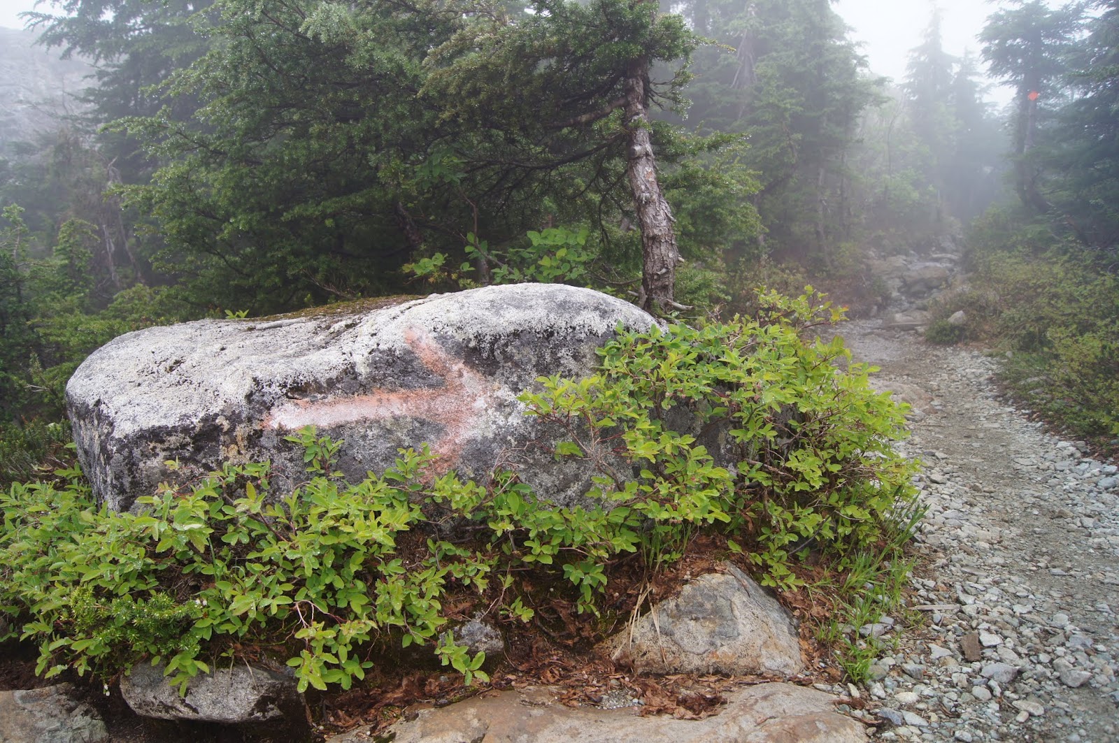 Mashed Thoughts Hiking up Mount Seymour