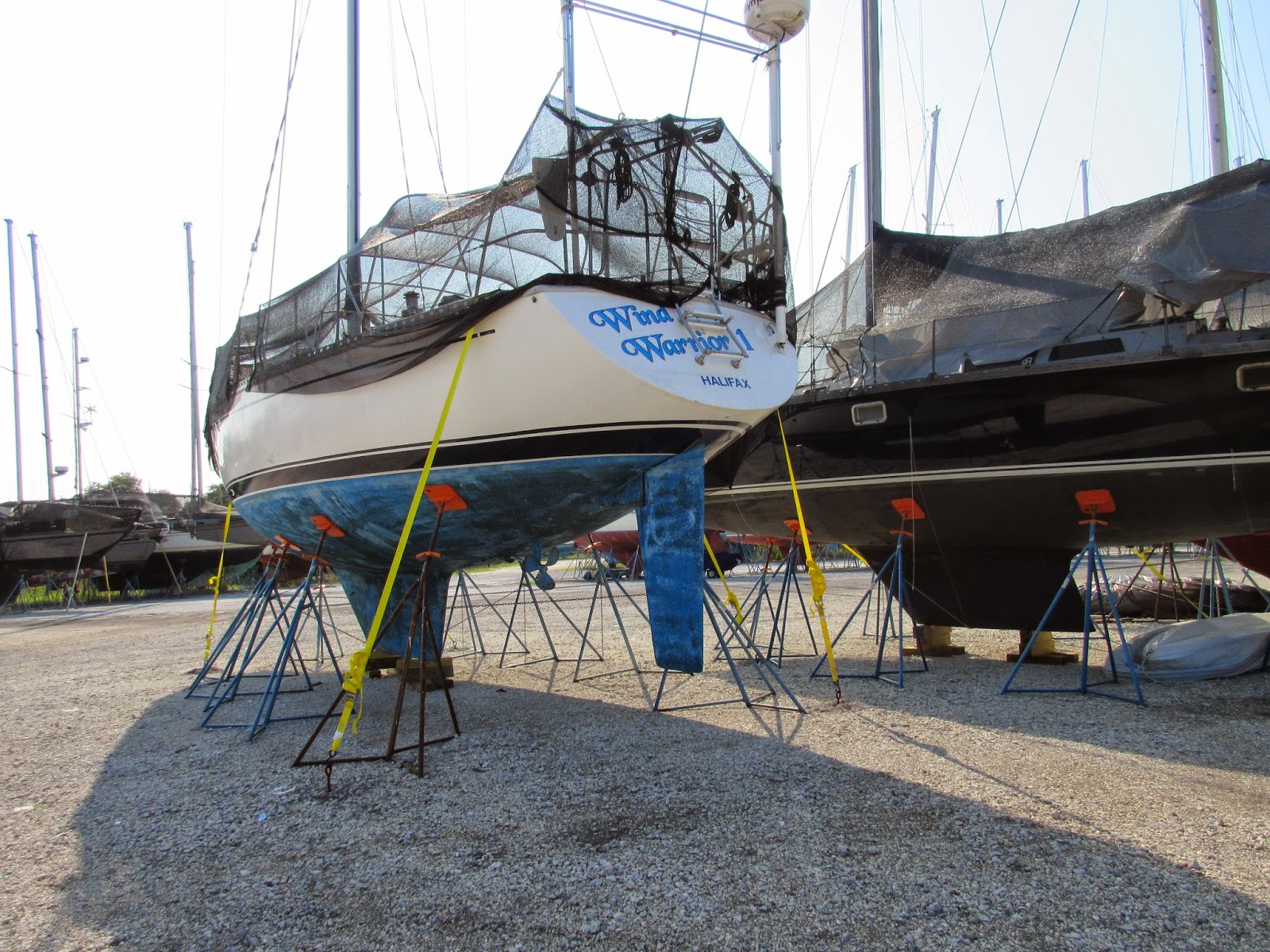 Community View Single Post Tracking Hurricane Irma