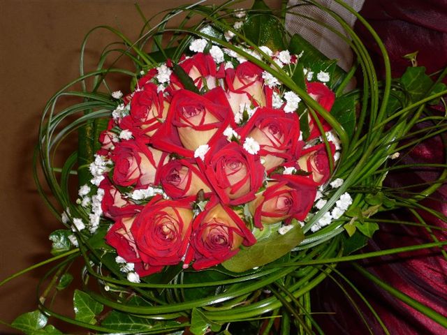 Des Magnolias Sur Ma Voie Lactee Juillet 2017