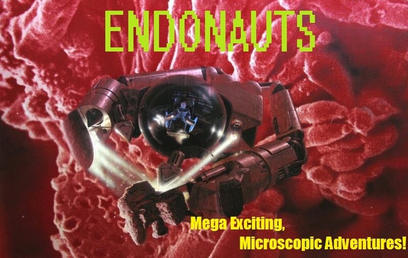 ENDONAUTS