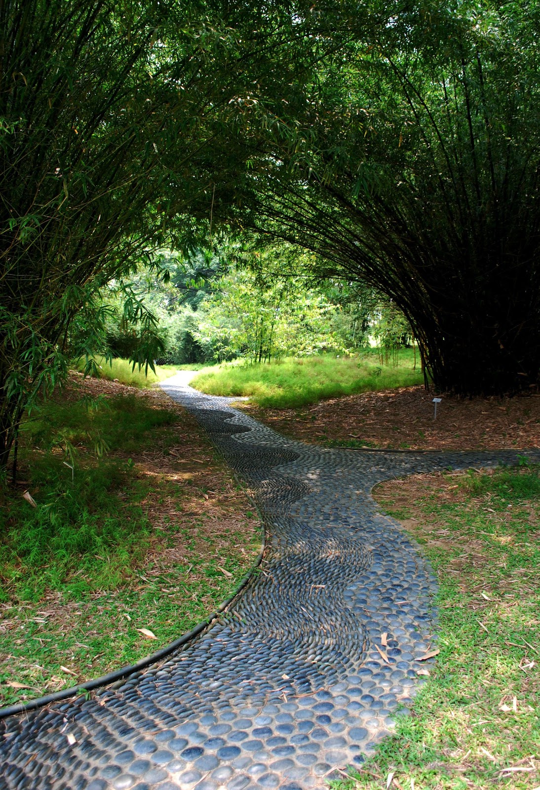 The Intercontinental Gardener Things that make me go ouch