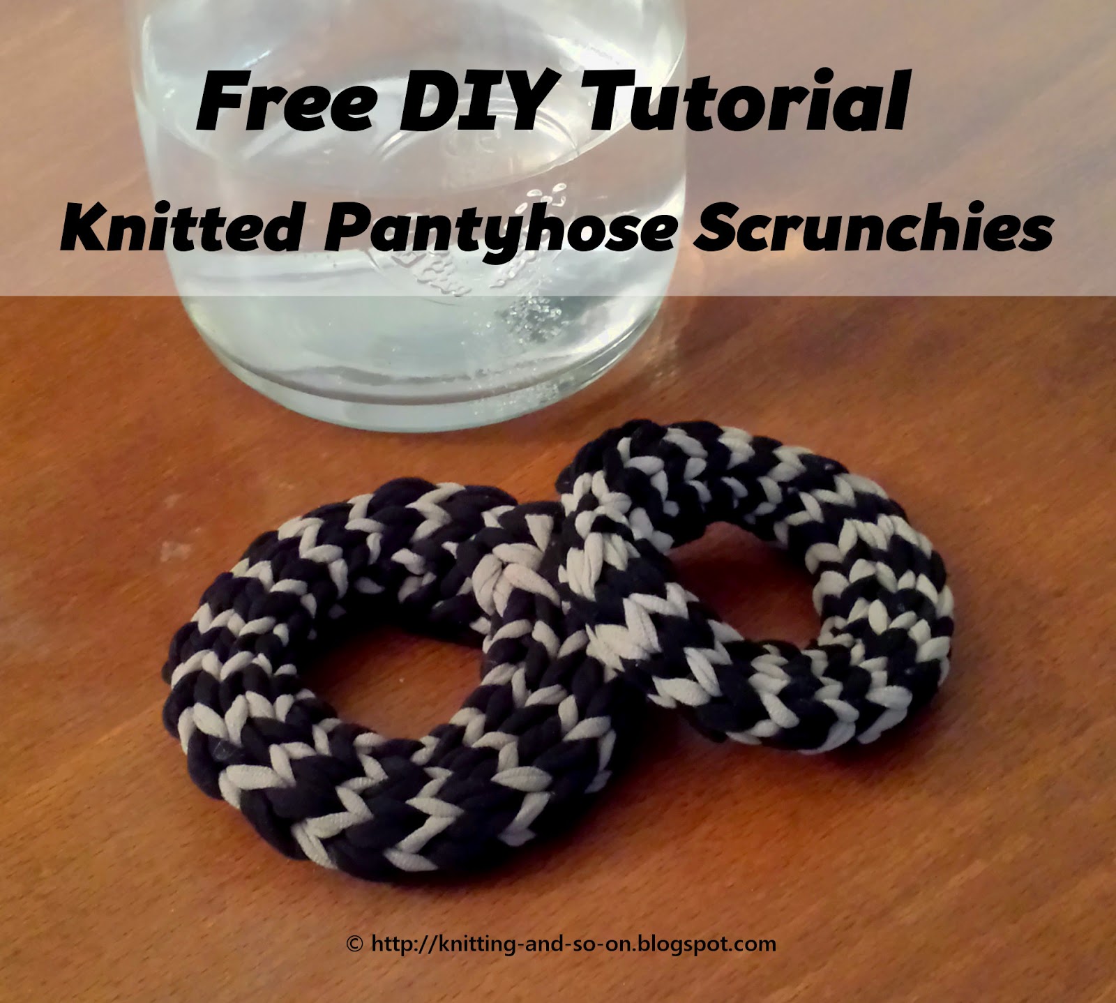 terrarium cactus diy