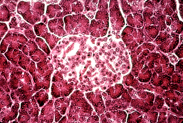 Smith's Science: March 2011