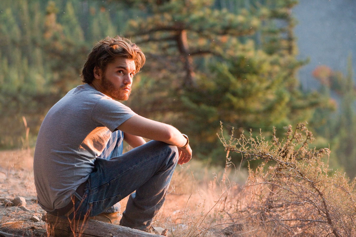 20. Into the Wild 2007