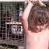 POSING FOR IMAGES: 5-year old Girl Gets Hand Bit Off by a Caged Bear
