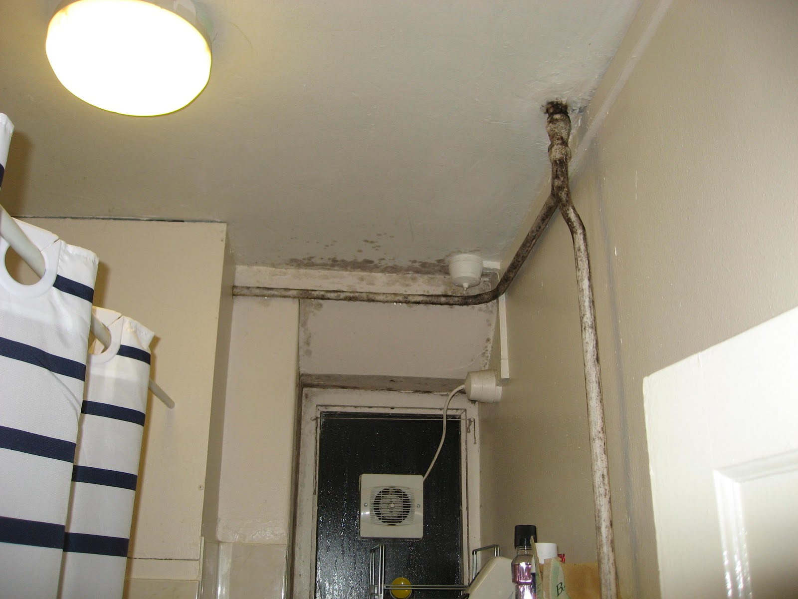 Faulty bathroon vent, mould, dripping pipes what next? ICE