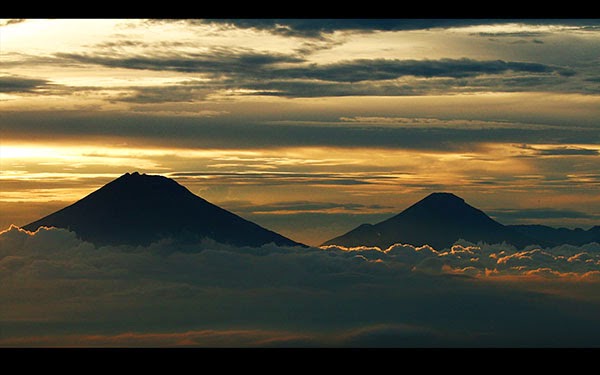 Carica Sindoro misteri terbentuknya gunung sindoro dan gunung sumbing Carica Sindoro misteri terbentuknya gunung sindoro dan gunung sumbing