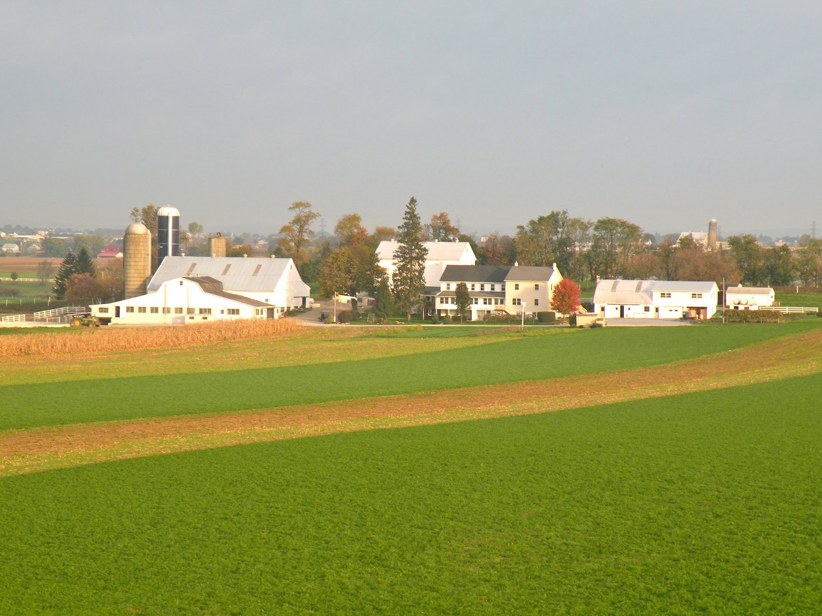 Never Heard of the Amish? | Kate Lloyd, Author