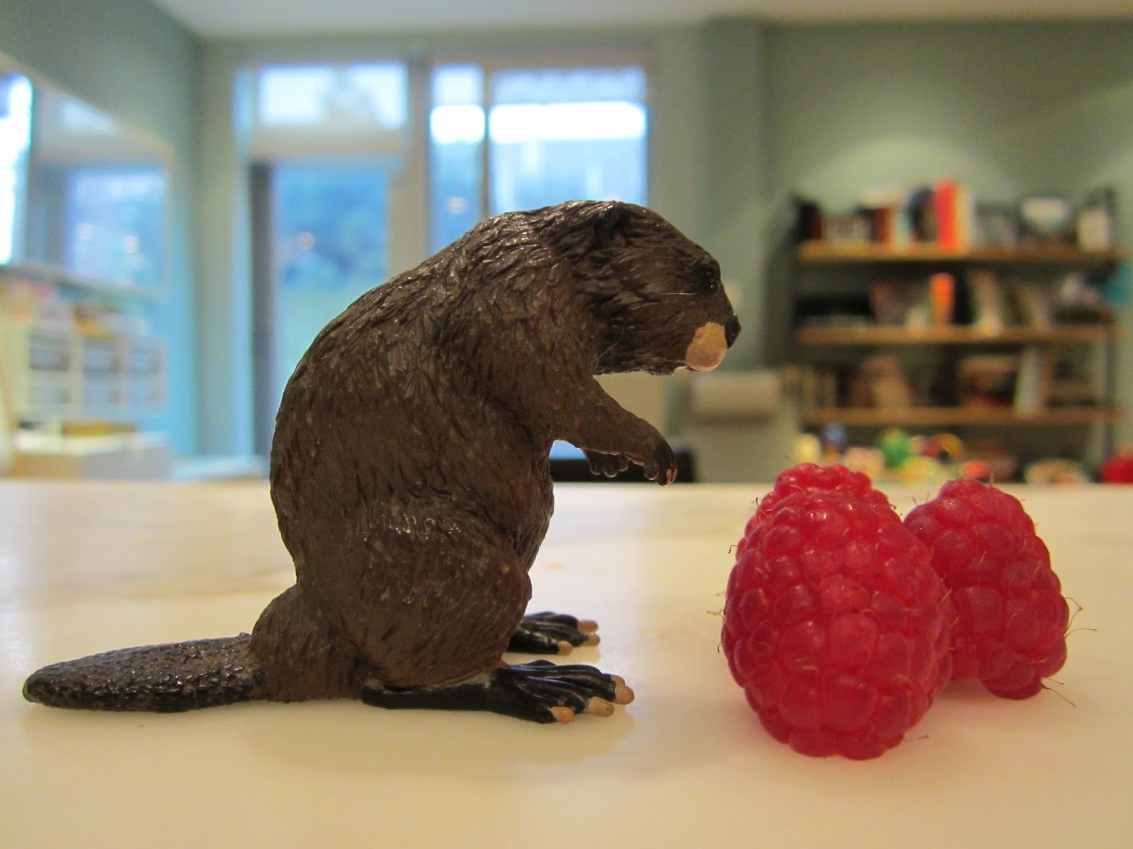 The Resident's Guide to LA Organic or Natural?