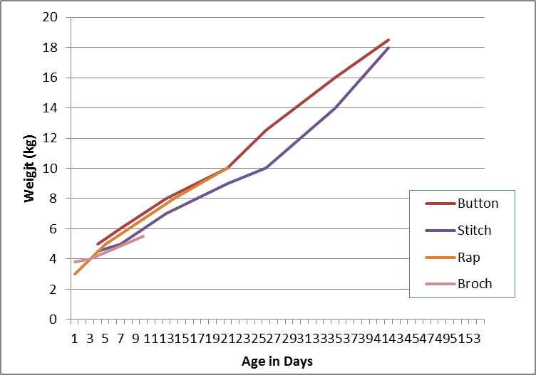 Crofting Catalunya Mother's milk, and fat lambs