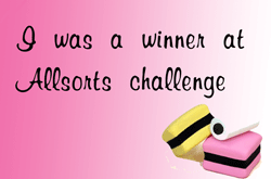 3 x Allsorts Challenge Winner