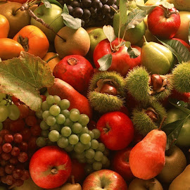Gambar Buah @ Digaleri.com