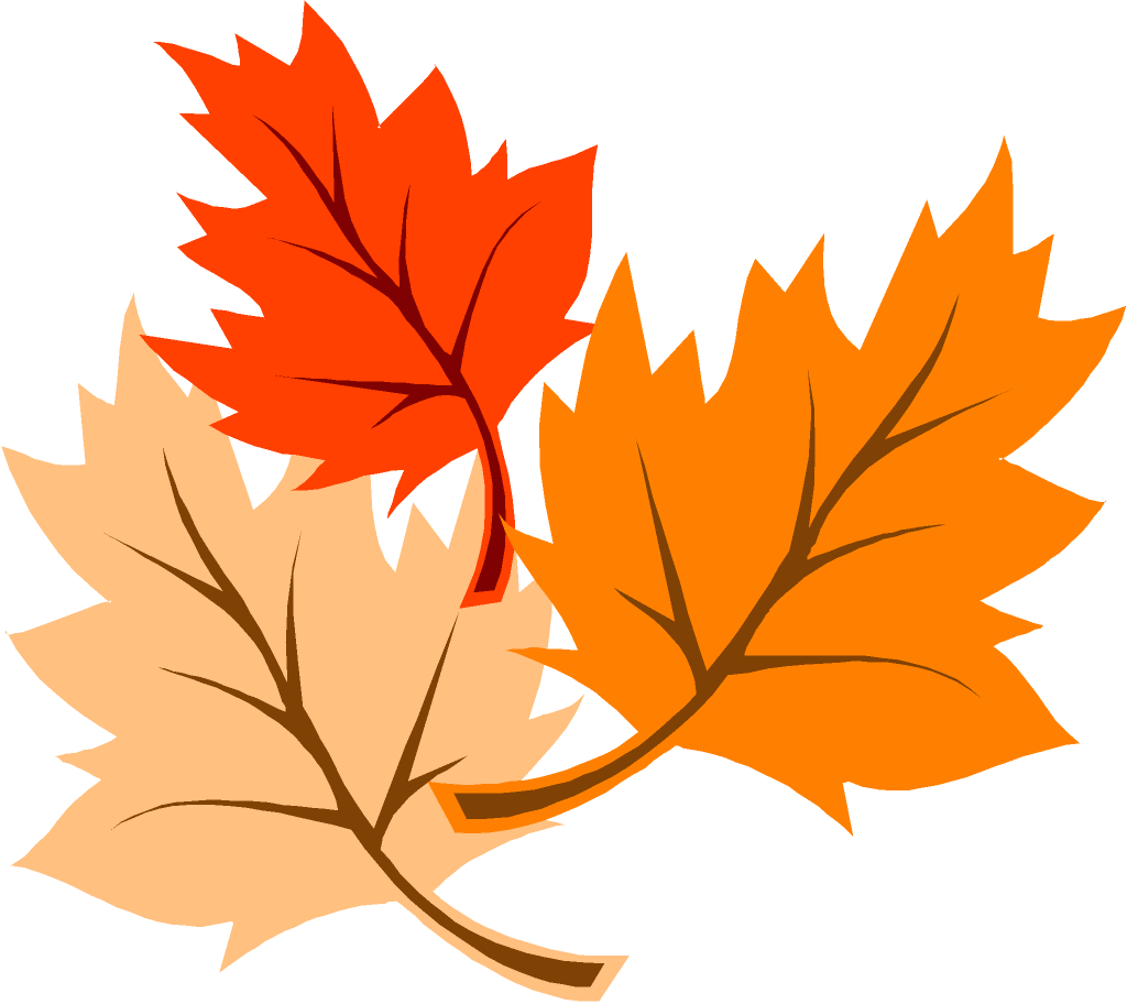 Image result for fall leaves clip art