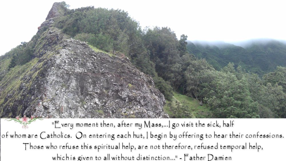 A Catholic Mom in Hawaii Saintly Quote by Saint Damien