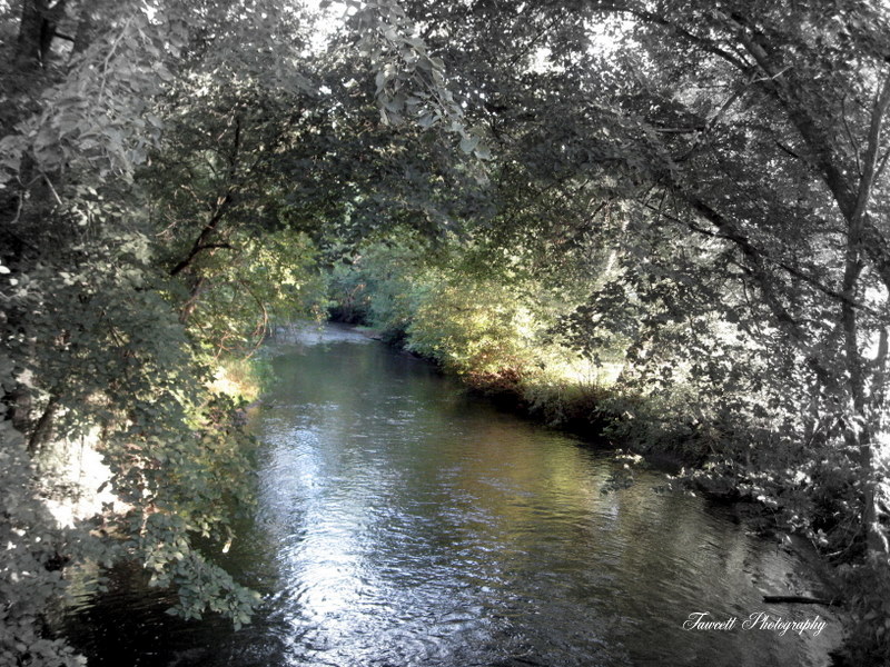 Beyond Coon Rock Black Earth Creek at Mazomanie