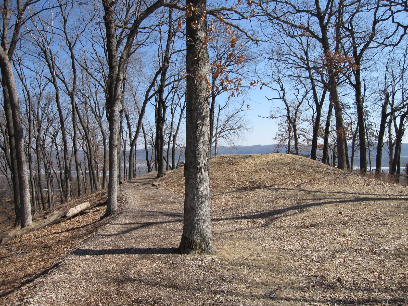 The Hikemasters' Trail Descriptions Third Scenic View, Effigy Mounds