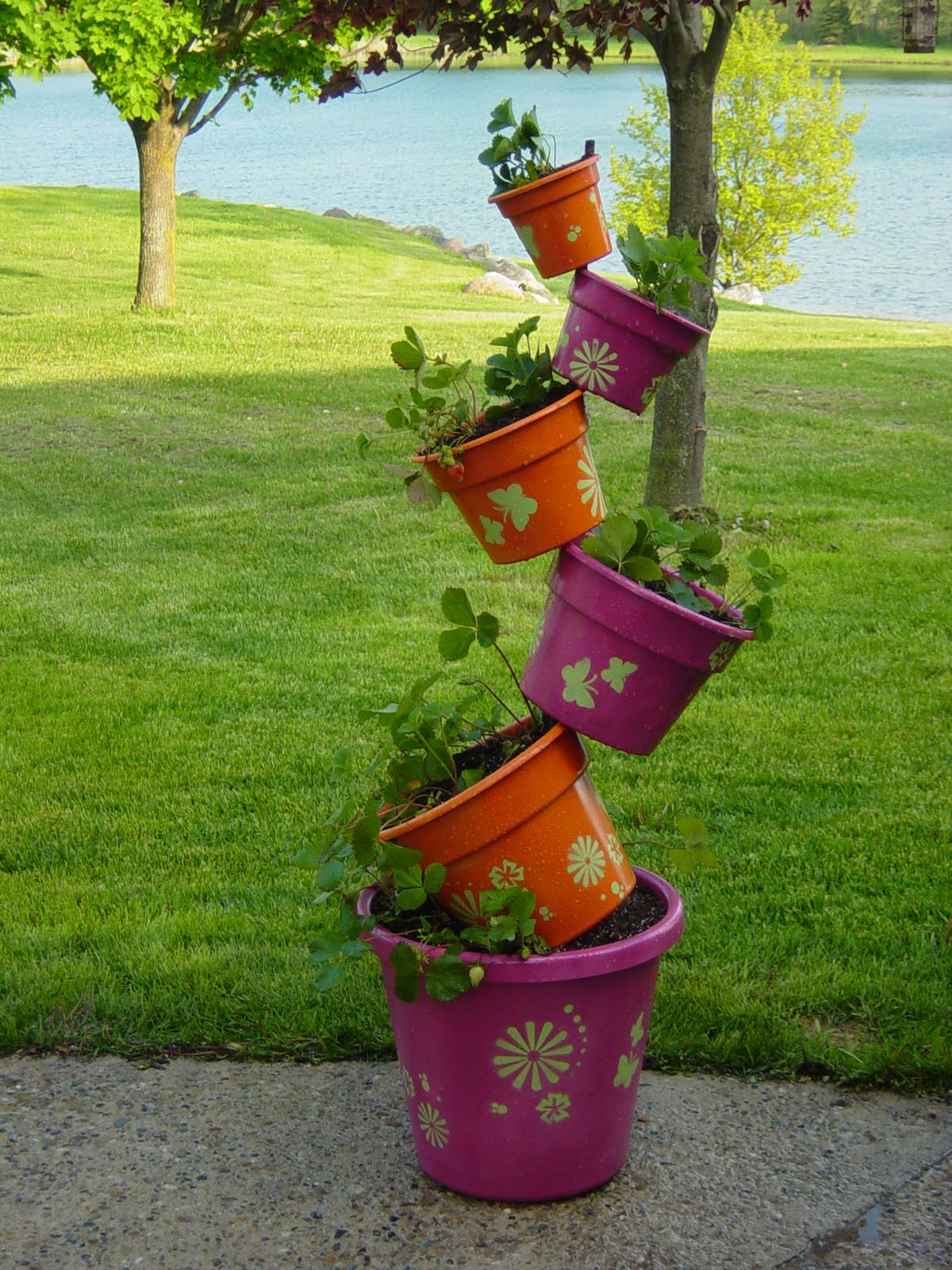 decorar meu jardim:É justamente nessas viagens que se constata que a capacidade decorar meu jardim:É justamente nessas viagens que se constata que a capacidade