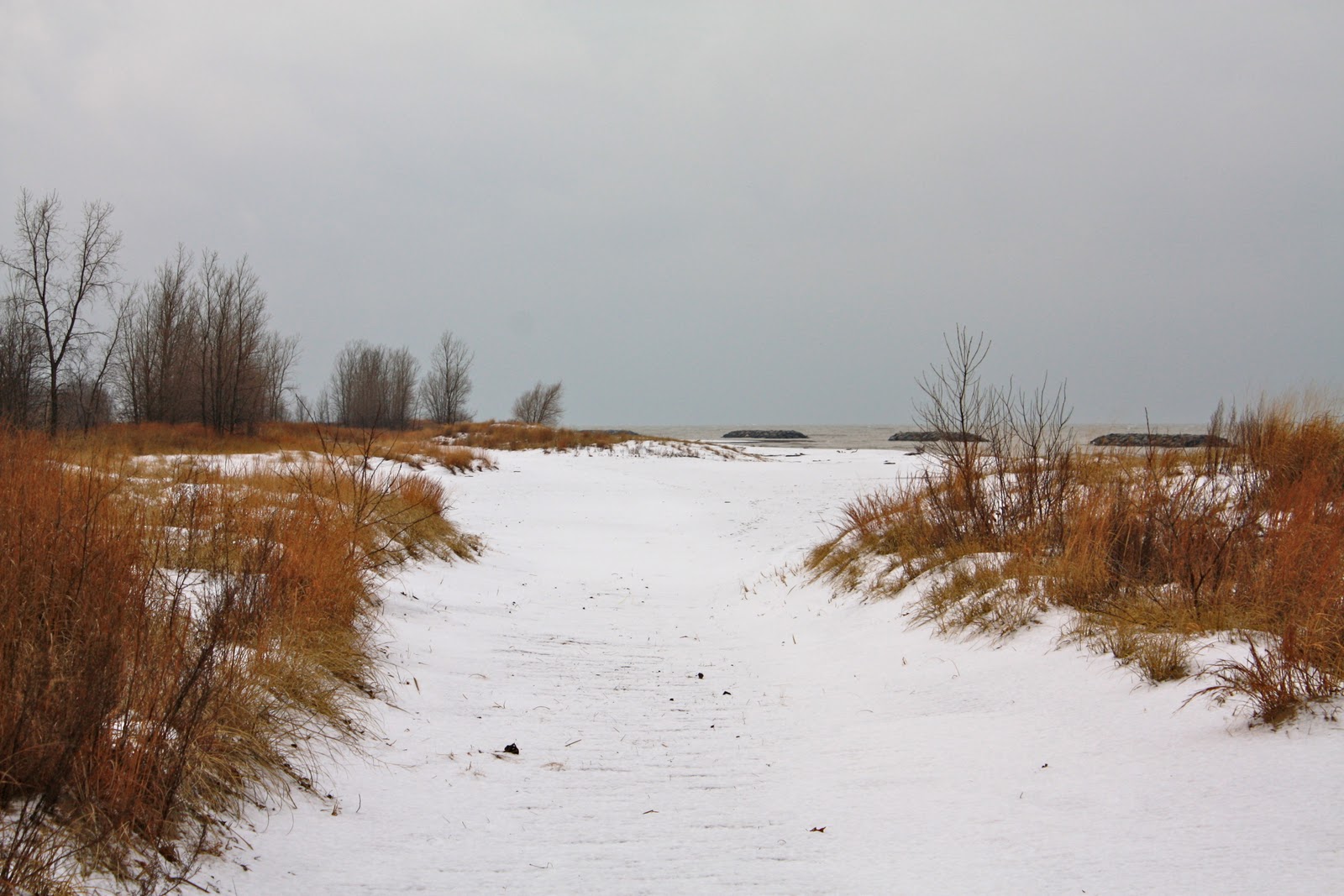 Little Wonders Presque Isle State Park