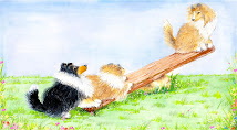 OBay Shelties Website