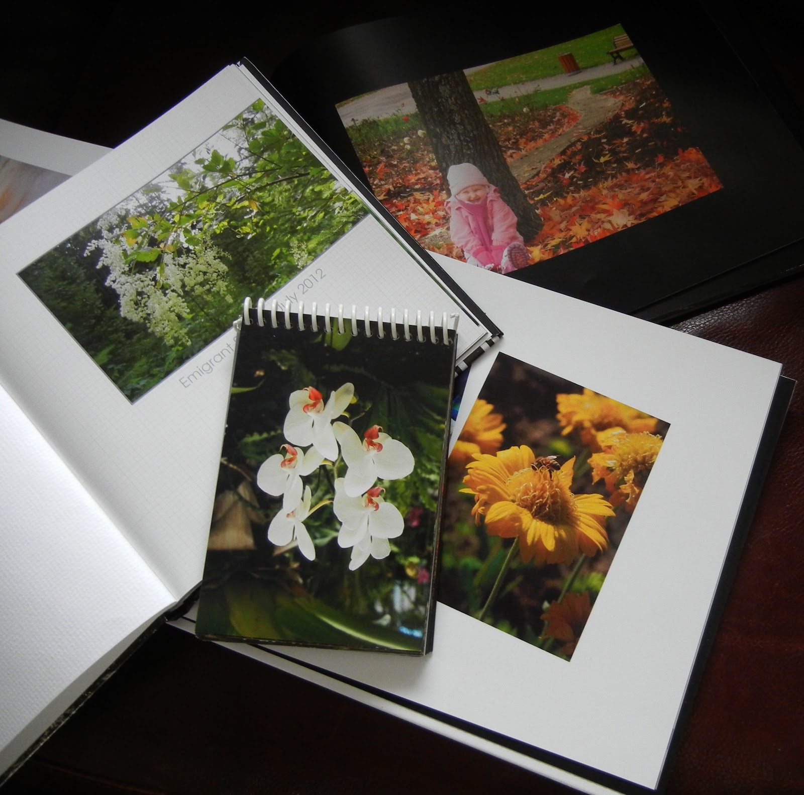 Photographing Flowers: December 2012