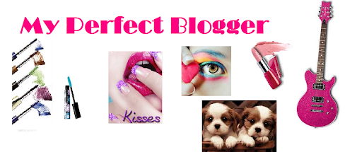 my perfect blogger