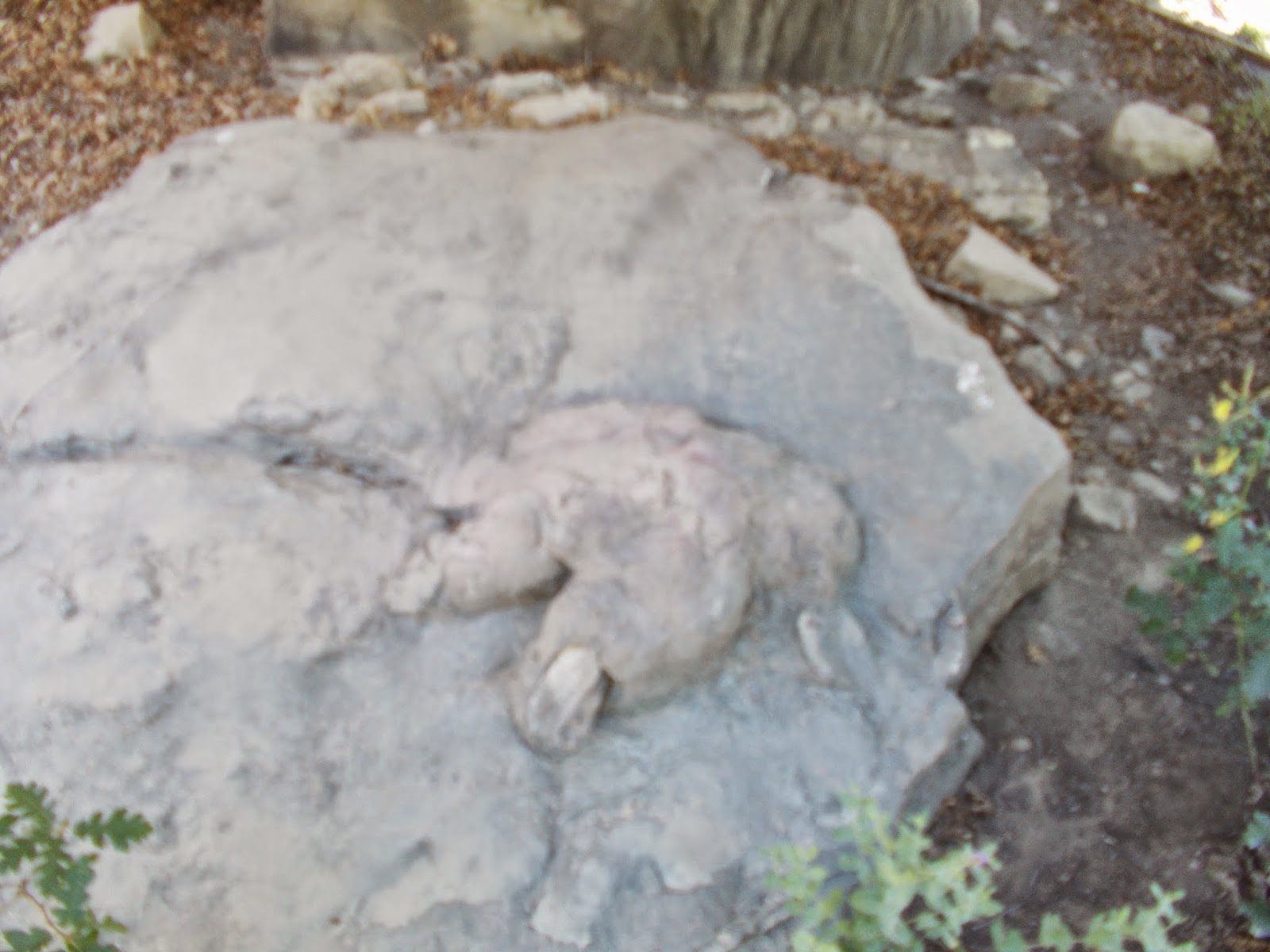 scott's ravings Philmont Scout Ranch Day One Six Mile Gate to