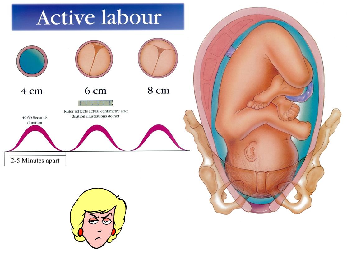 My Rhythm of Life Understanding the Stages of Labour is Laborious