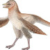 Seperti Ini Rupa Burung Tertua Dalam Sejarah?