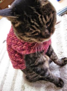 猫の服をつくろう 一日で編める ねこセーター How To Make A Cat Sweater