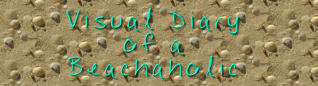 Visual Diary of a Beachaholic