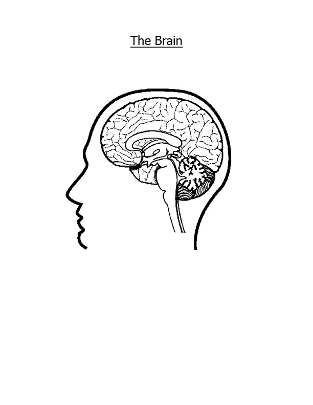 Brain Jack Image: Brain Coloring Pages