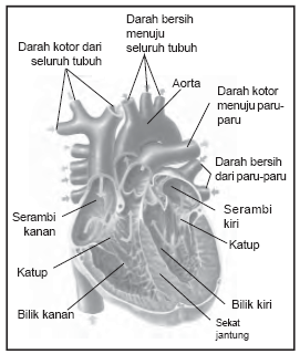 Atha Anak Cerdas Jantung