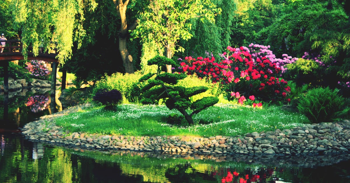 Atena: El Secreto del Jardín Feng Shui