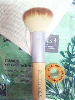 Ecotools Mineral Powder Brush Review