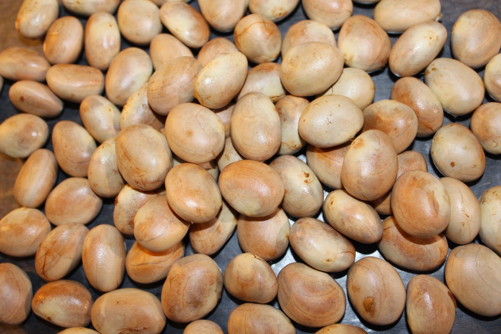 Edible Tropicals How to Grow, Eat and Cook Jackfruit