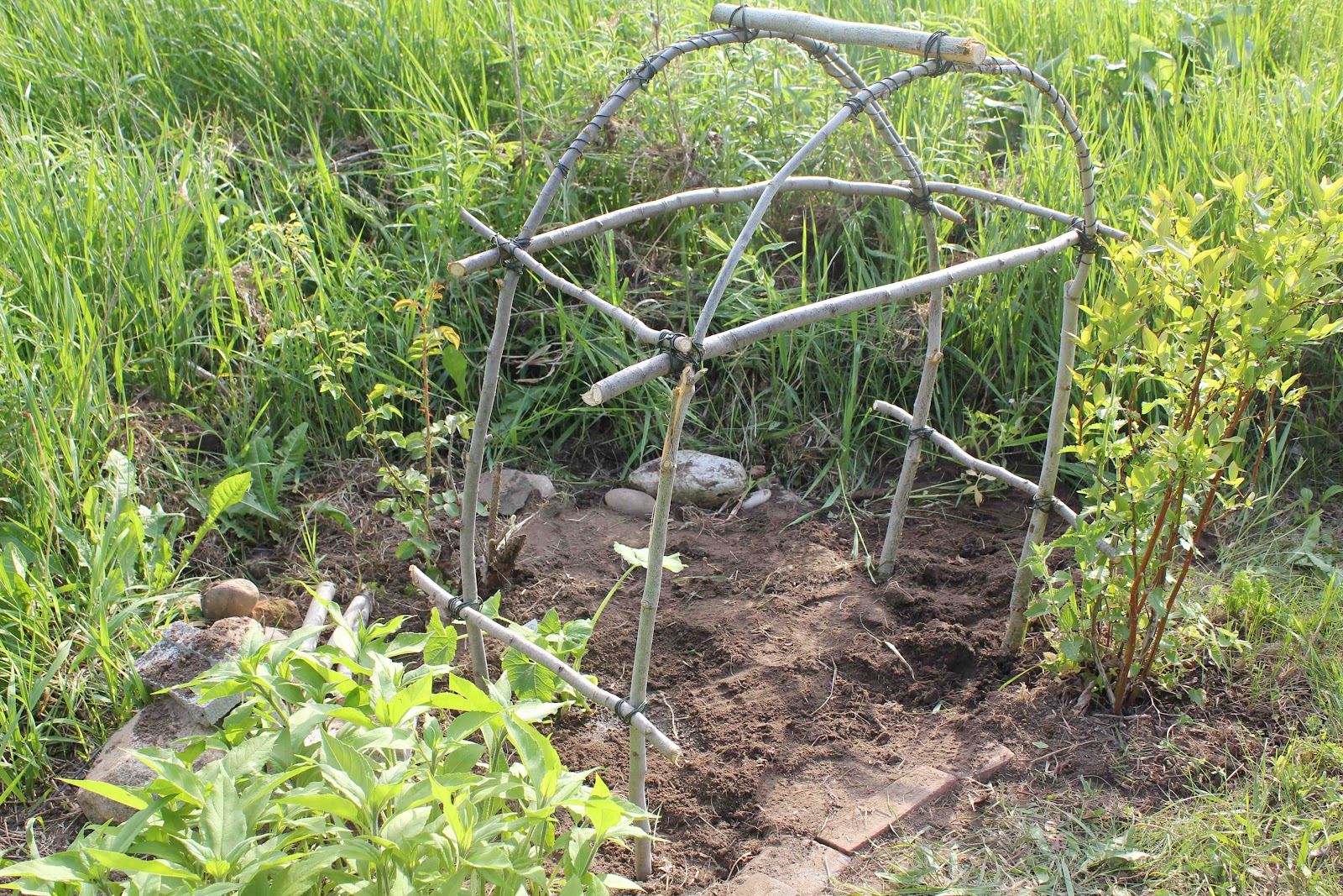 The Adventures of Arcly and Elo Bentwood Trellis and Garden Update
